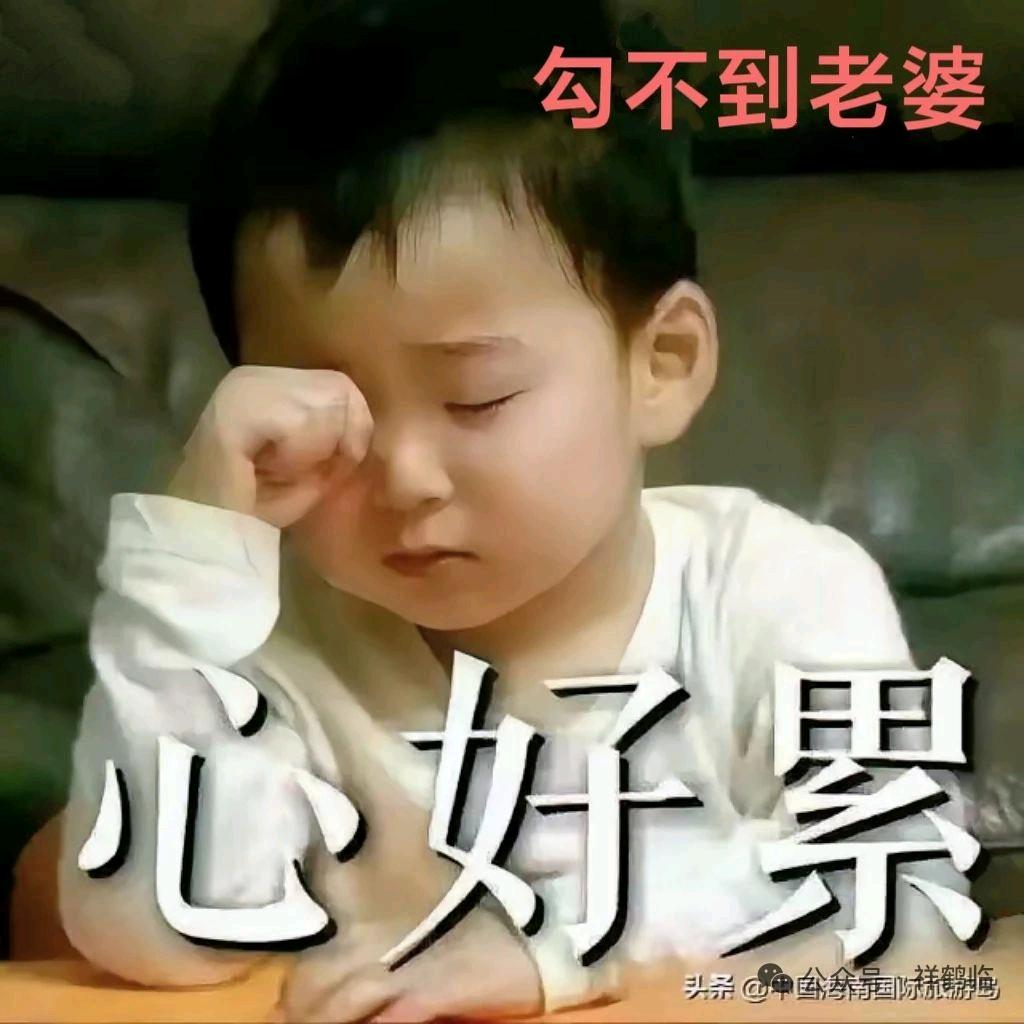 邓宏英dhy