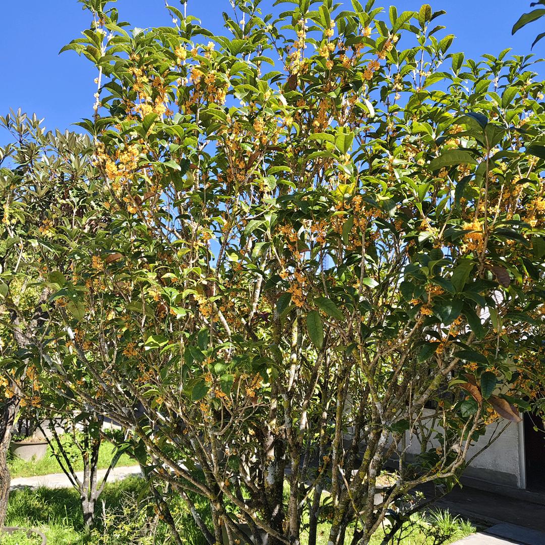 QQ＠_＠🐍🐍🐍🐍🐍🐍🐍