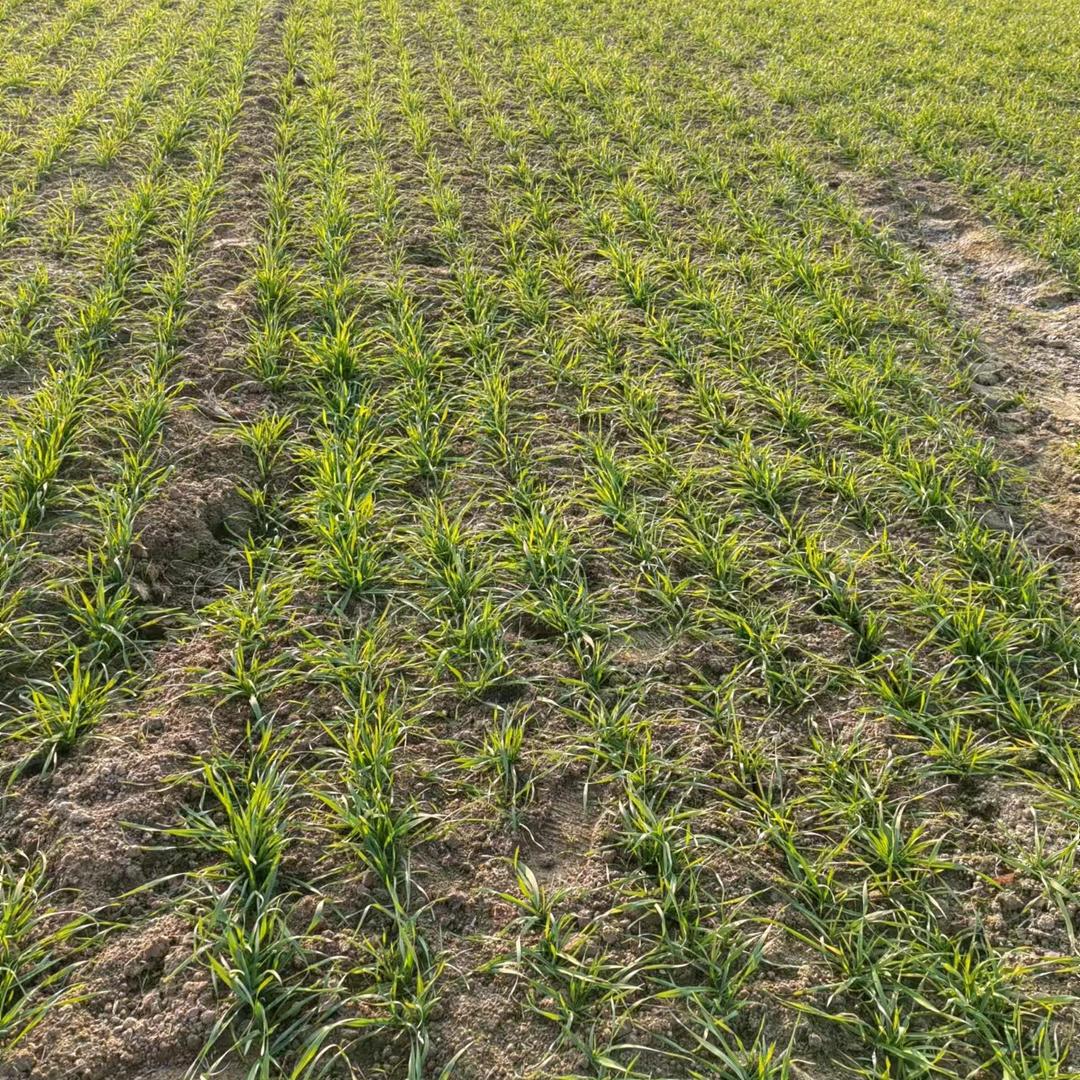 抖音让生活更美好