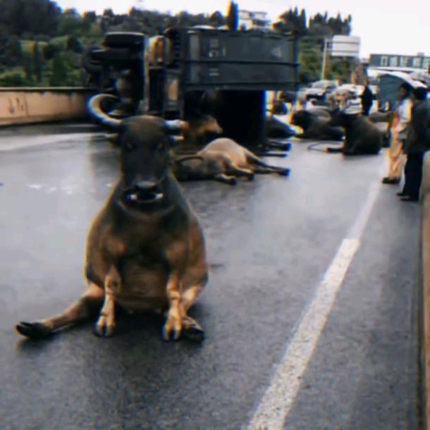 一三