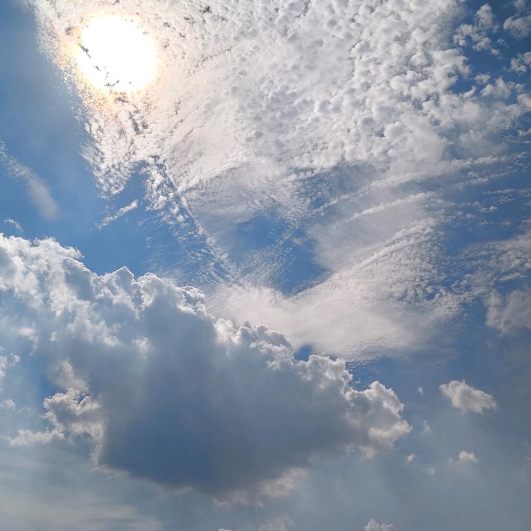 当时明月月很明