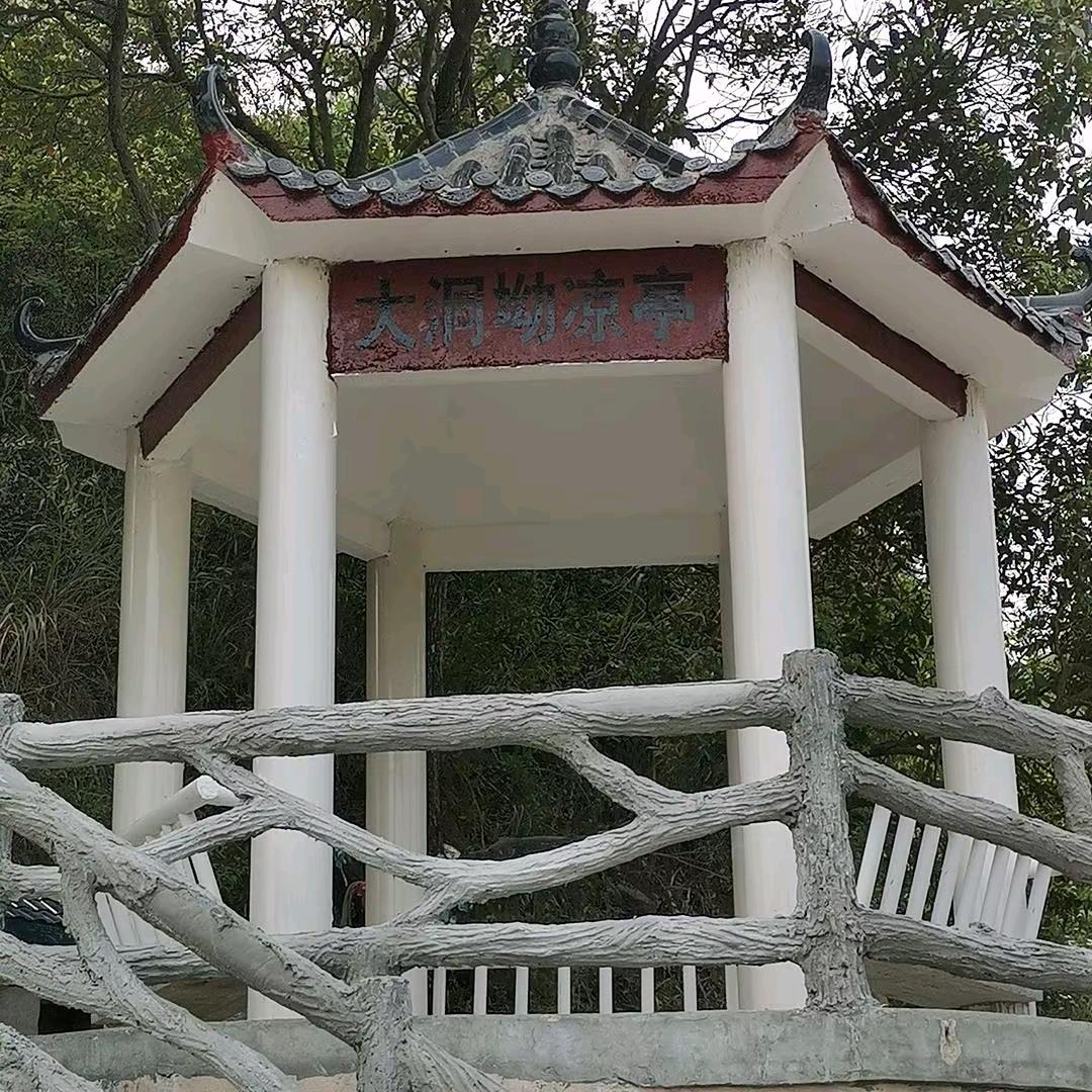 梦天天