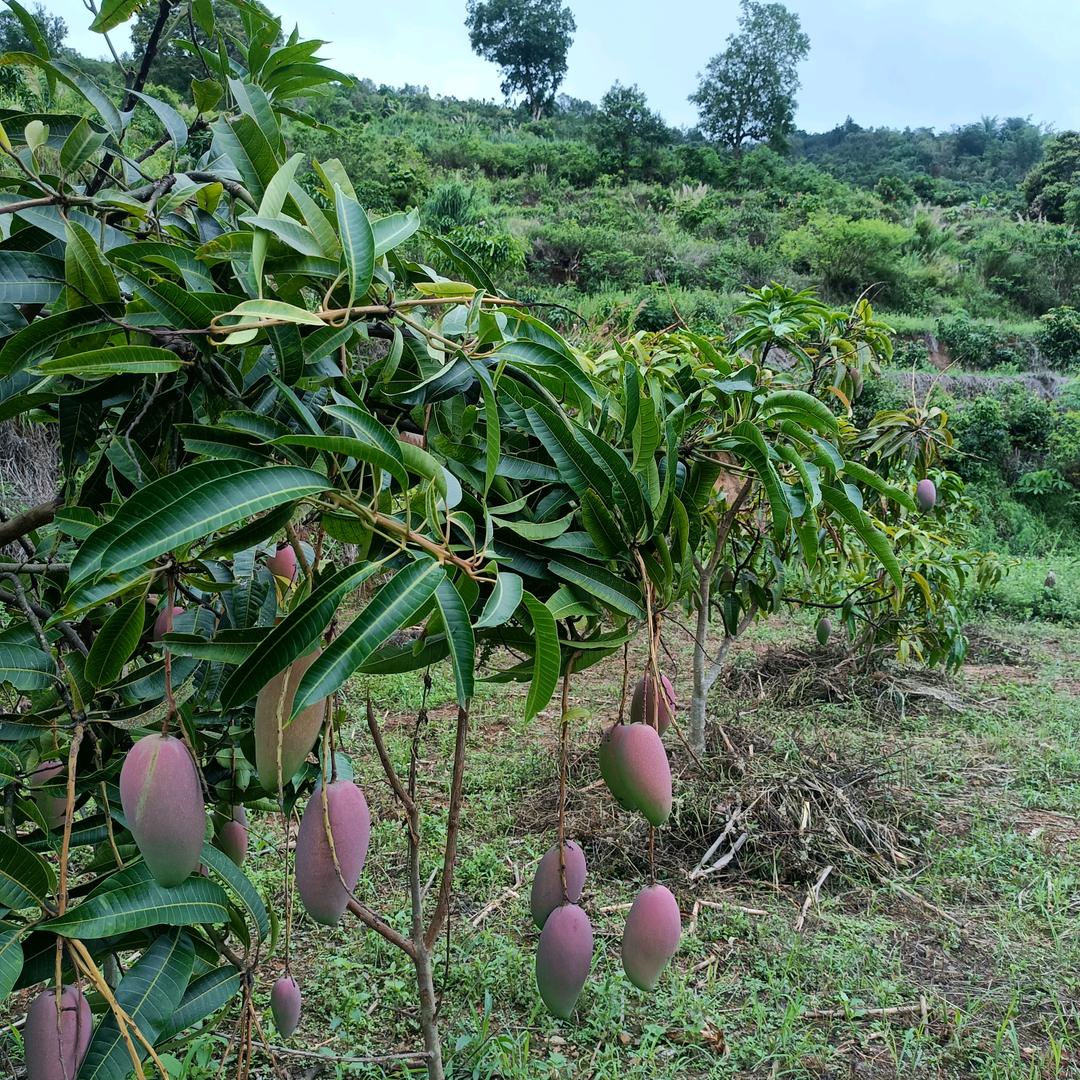 你不懂姐的世界，