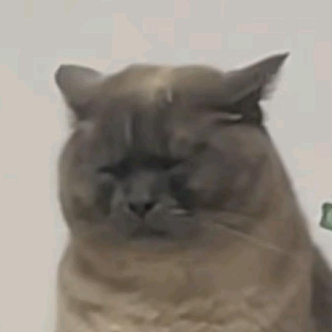 哈基J