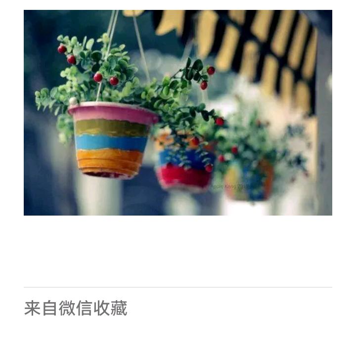 家乡梓林