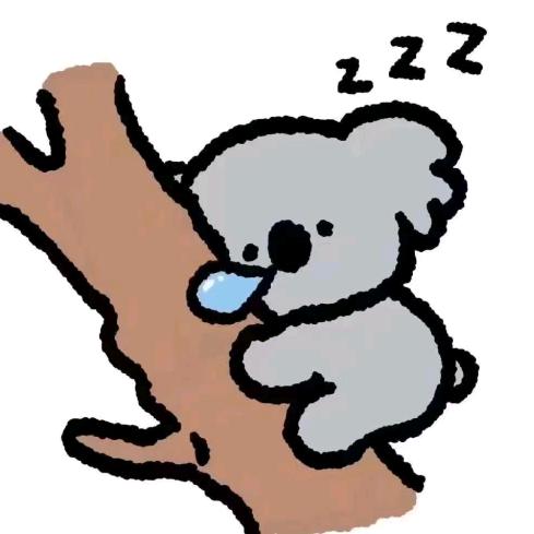 考拉Koala.FM