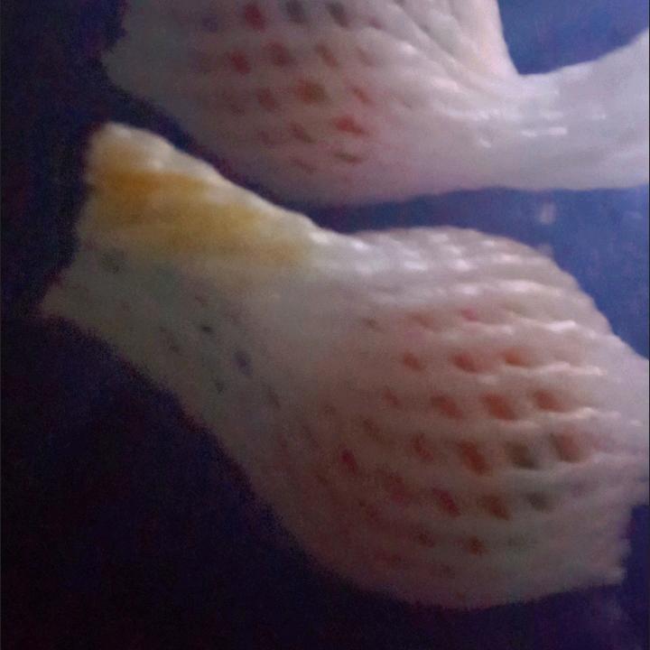 大吉大利加顺利平安
