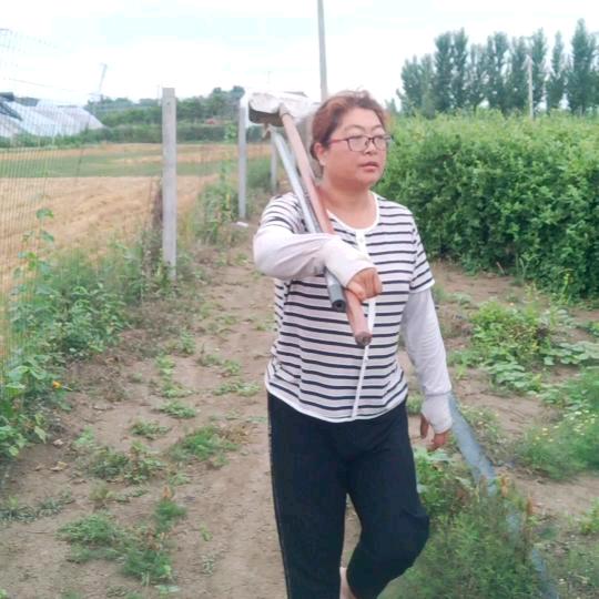 新农人云姐