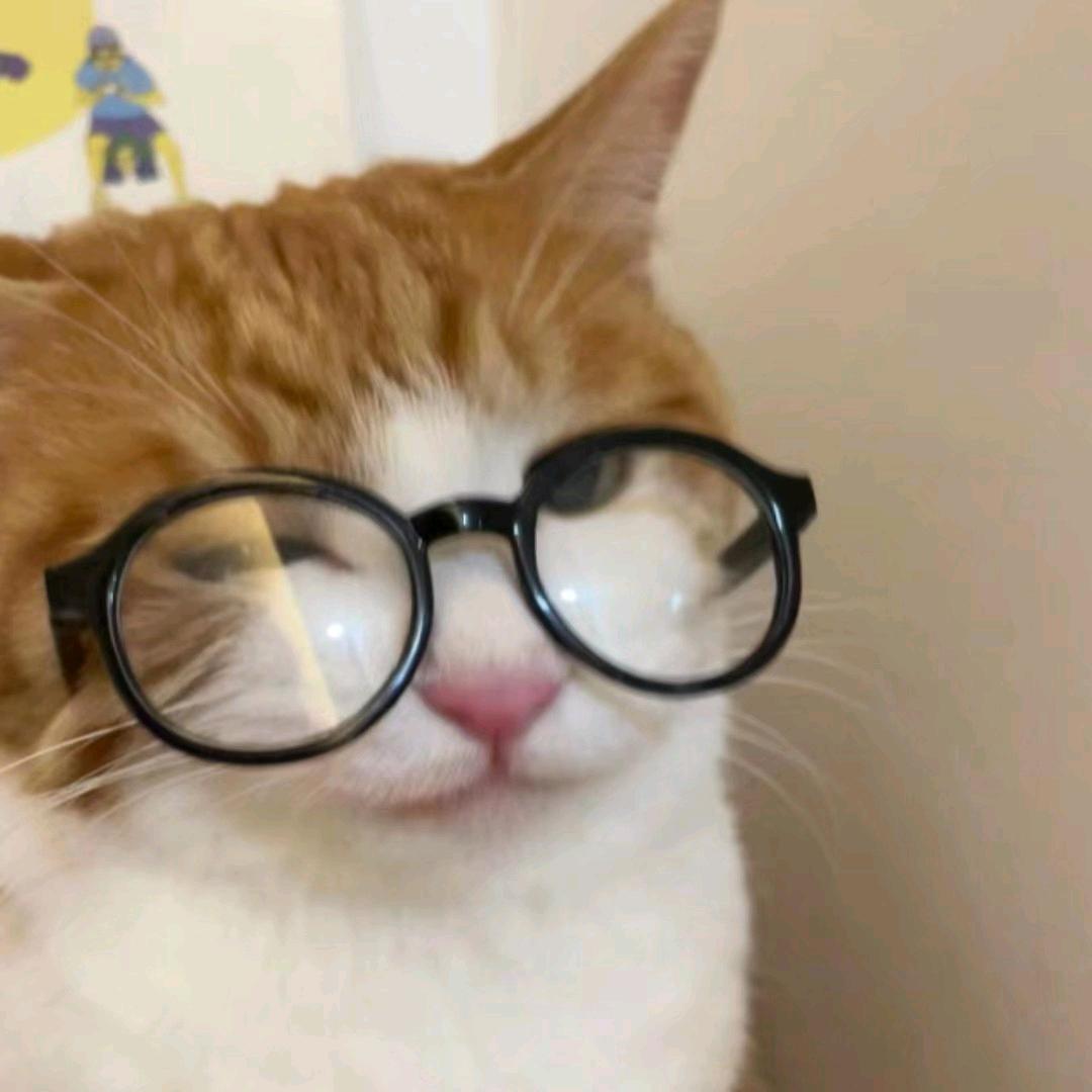 酱酱