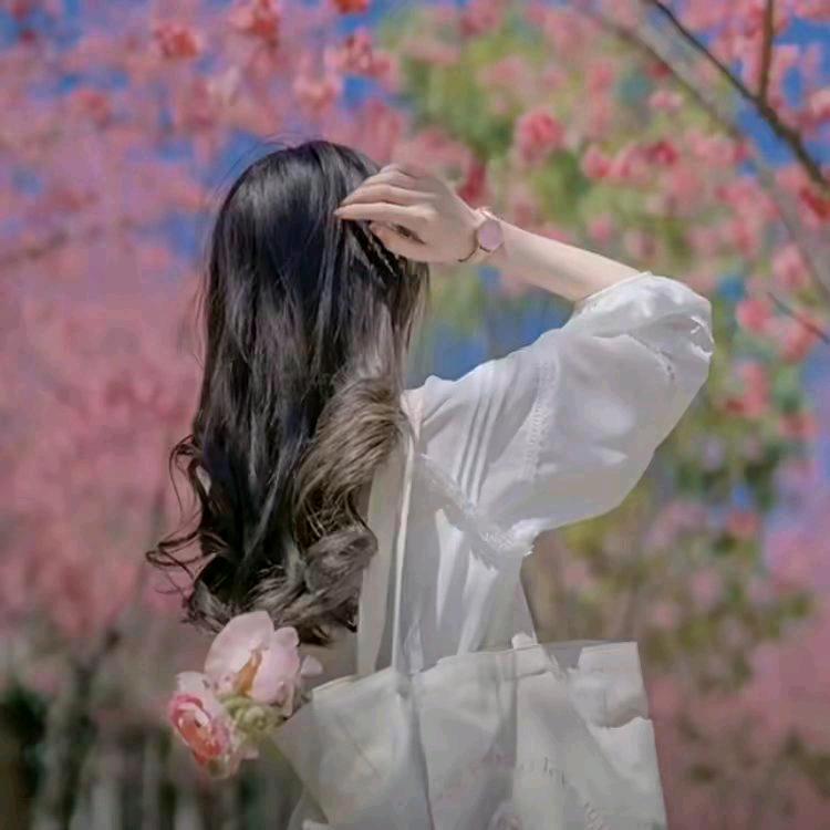 💘彼岸花开💕