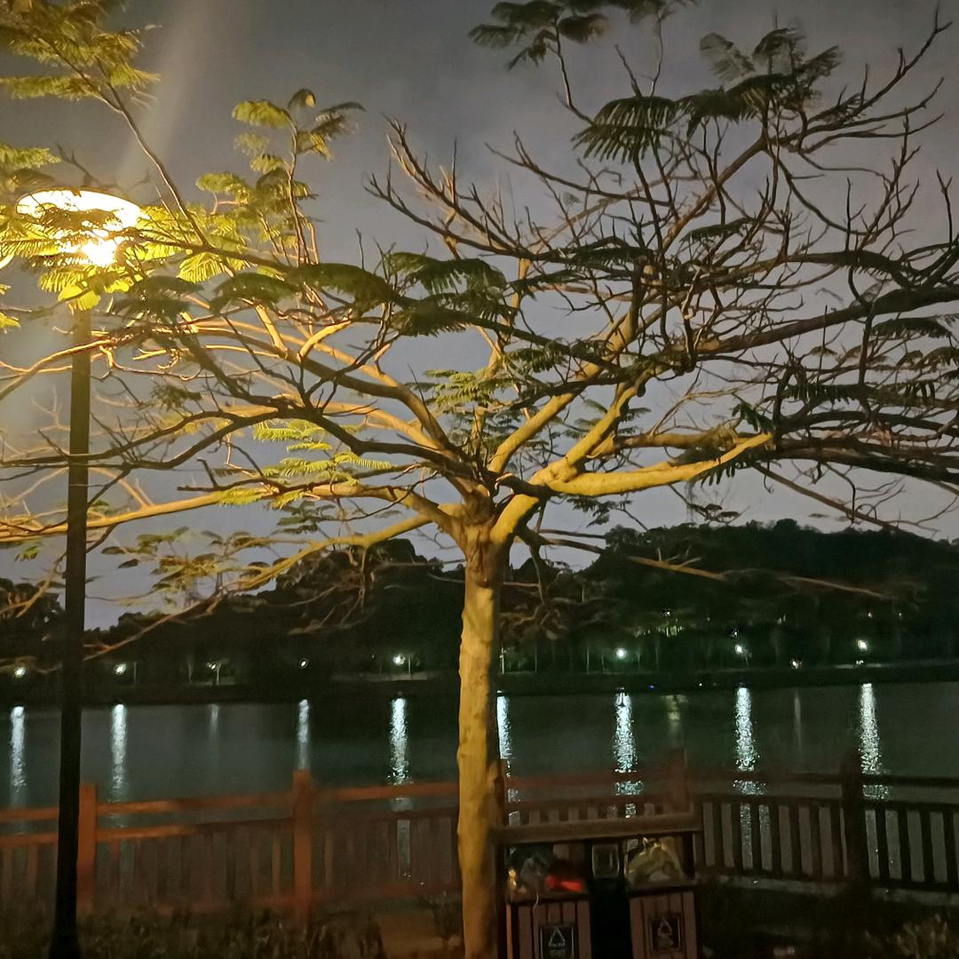 东莞恒发吊装搬运有限公司