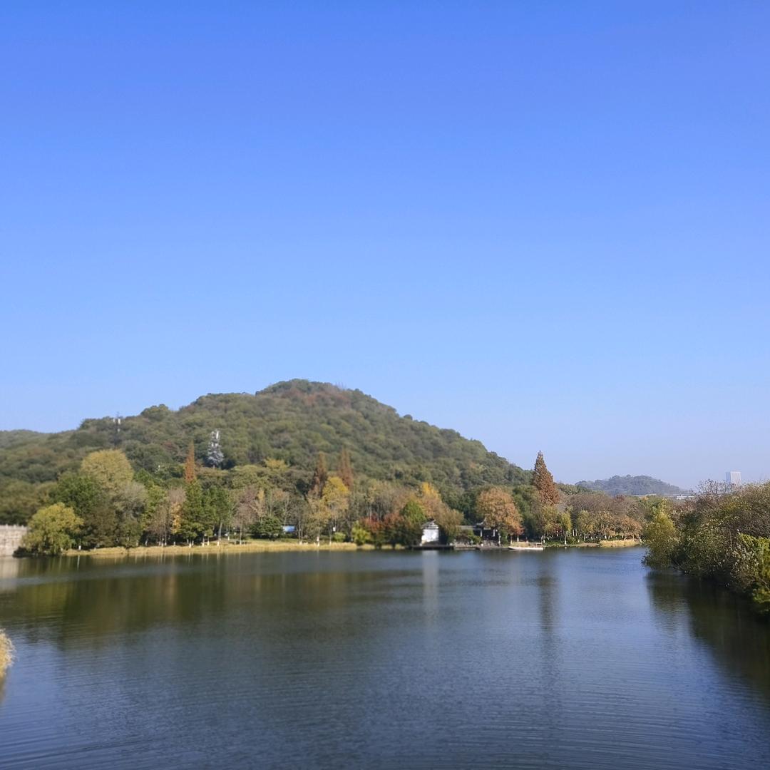 ไมลิง โคโค่