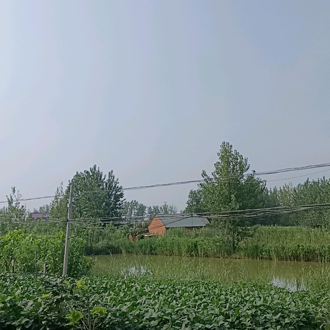 手握風雲