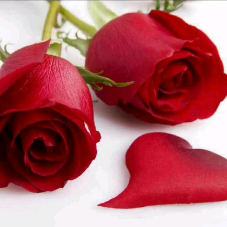 ᭄ᩚ看淡一切᭄ᩚ🍓