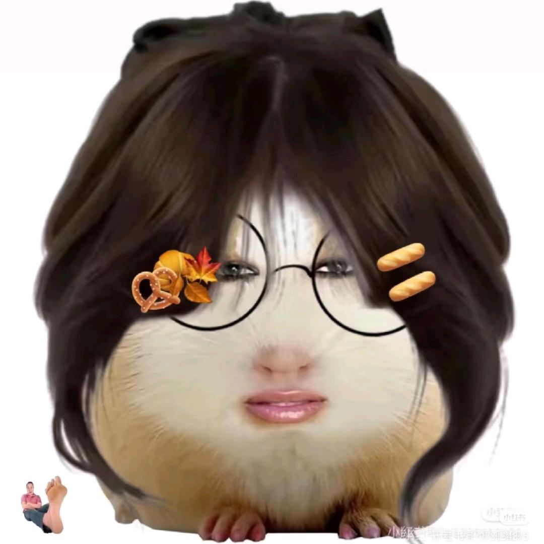猪妞本妞
