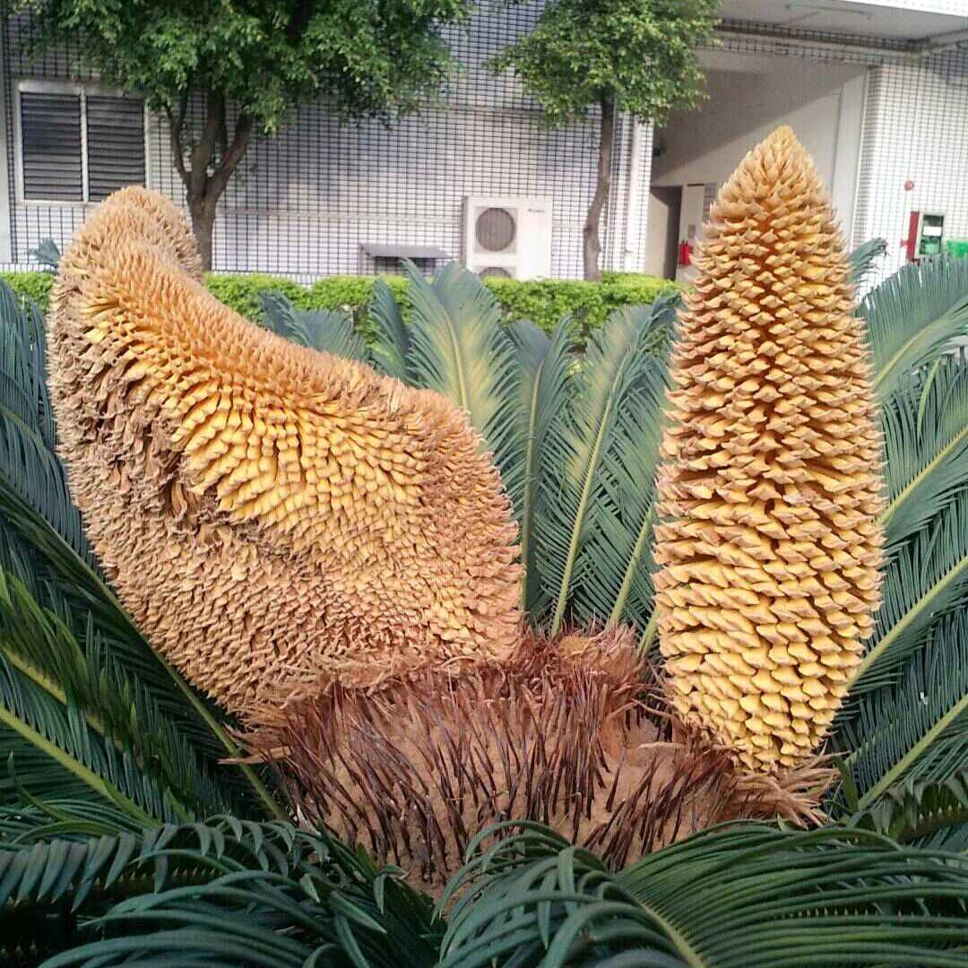 下一站大理🍃🍃🌴🌴