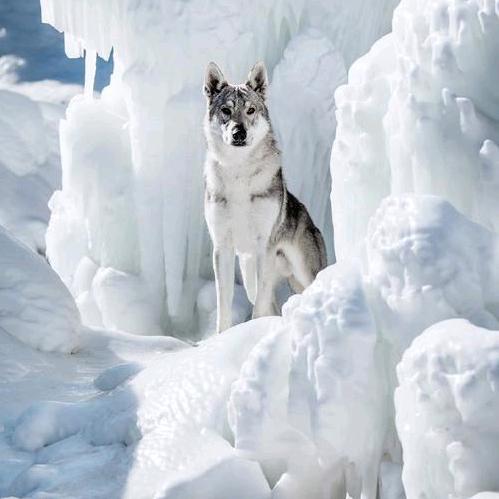 长春永哥二手轮胎