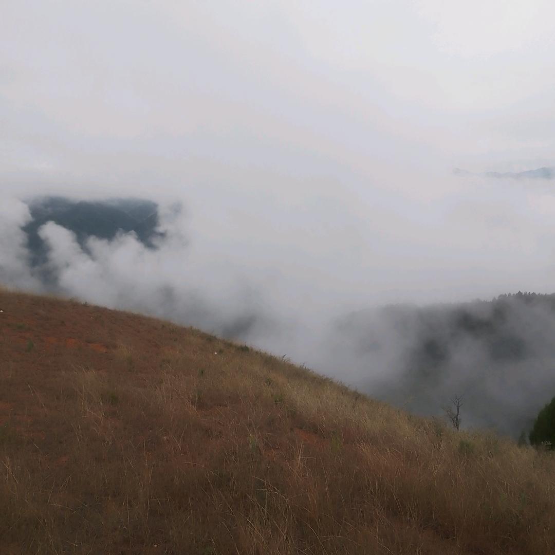 '寒风洛叶🍂🍂