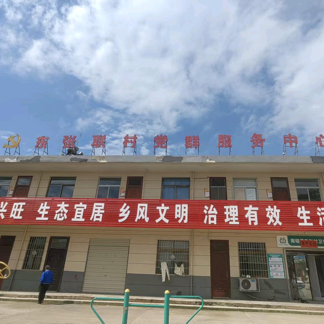 书记为东张代言