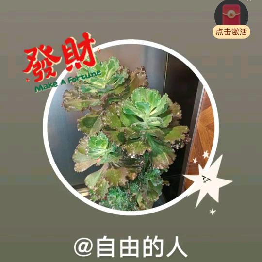 机器人