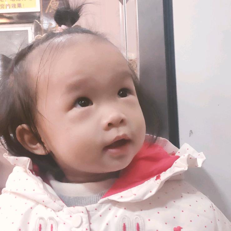 P'Y'L