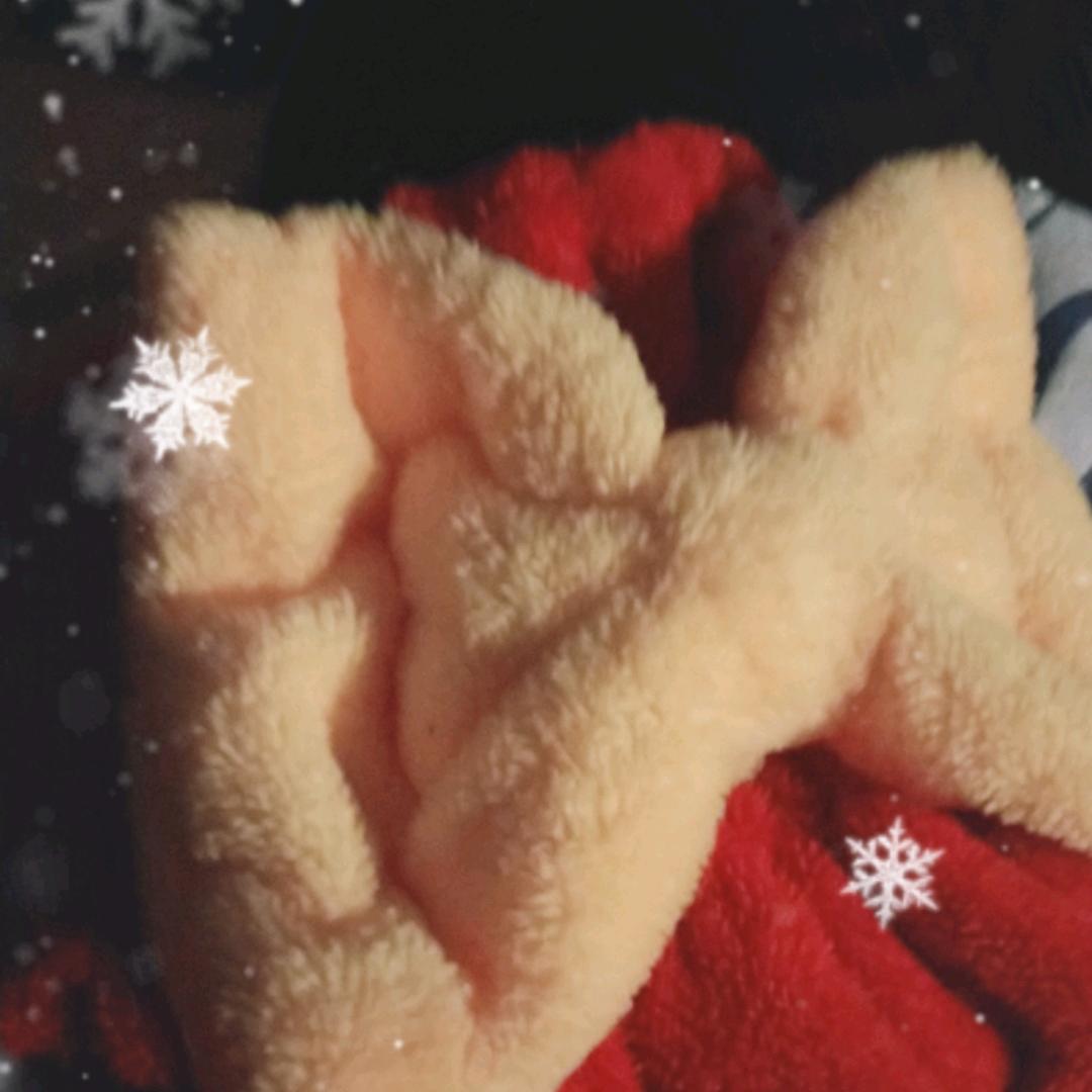 (胡蝶花)工地宝妈早上11.40大