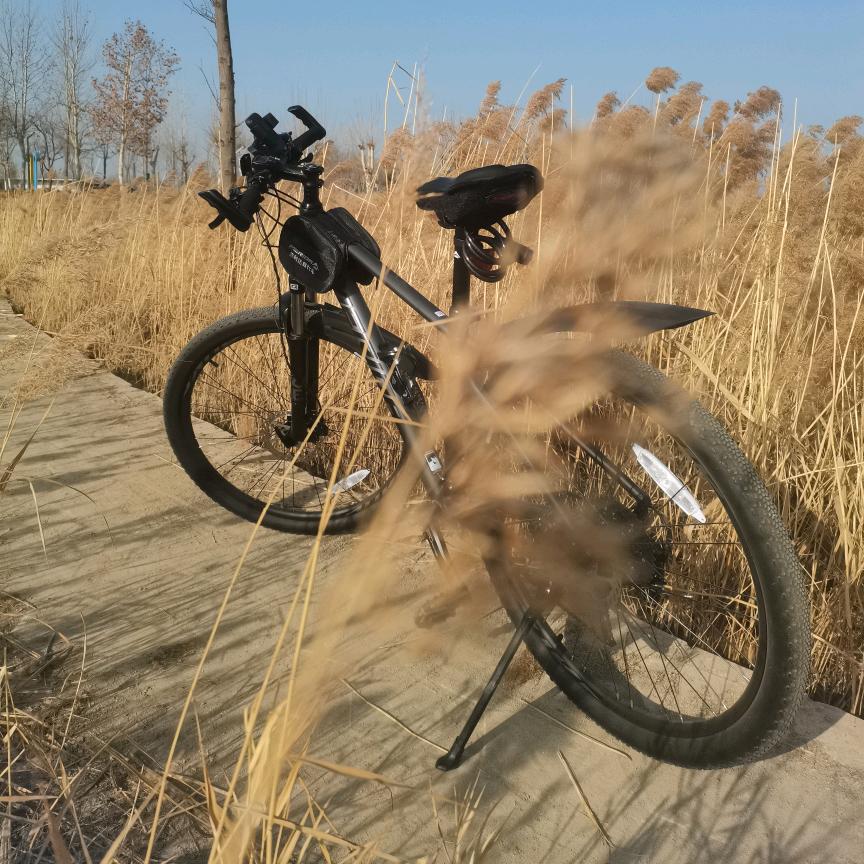 心之旅行