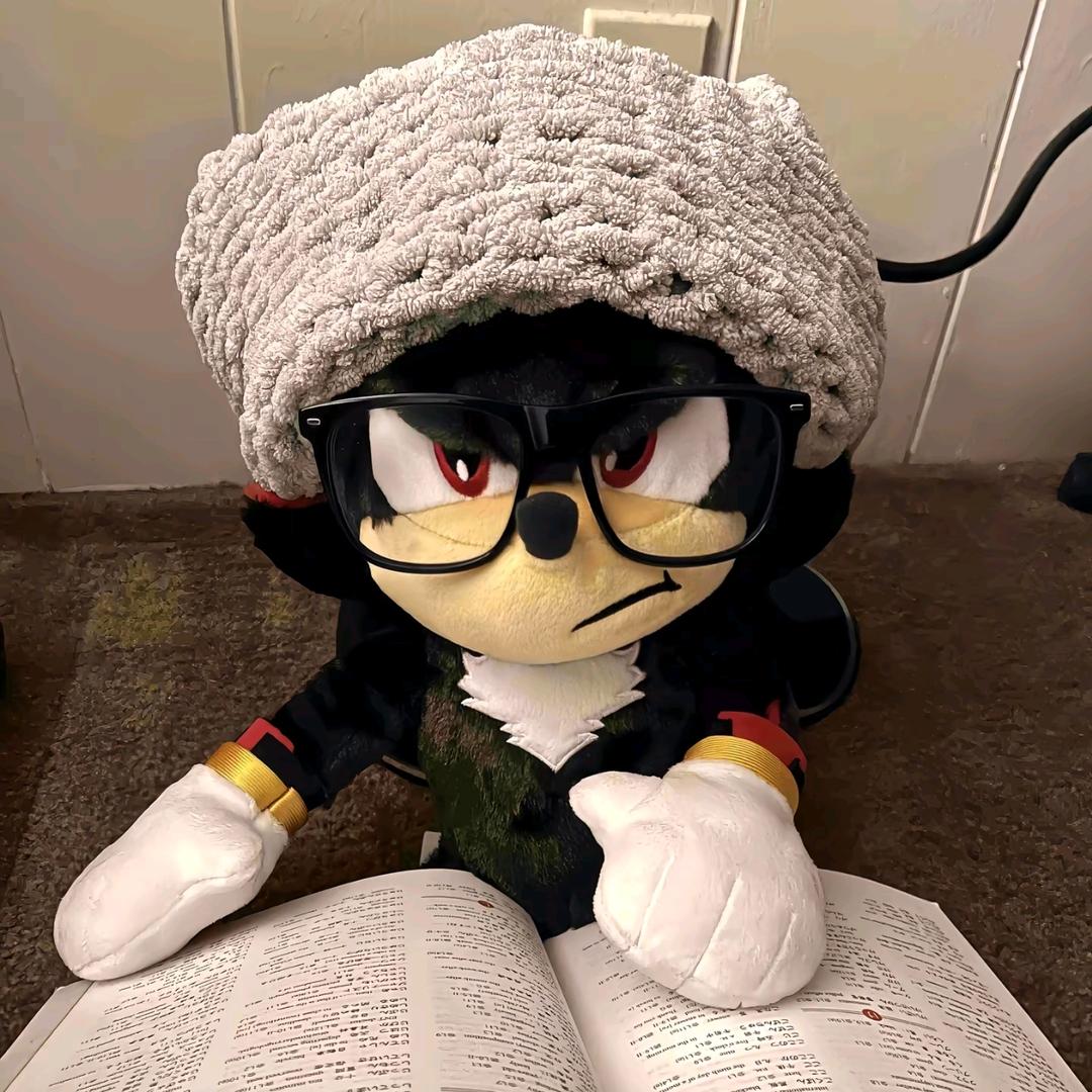 秦宇言