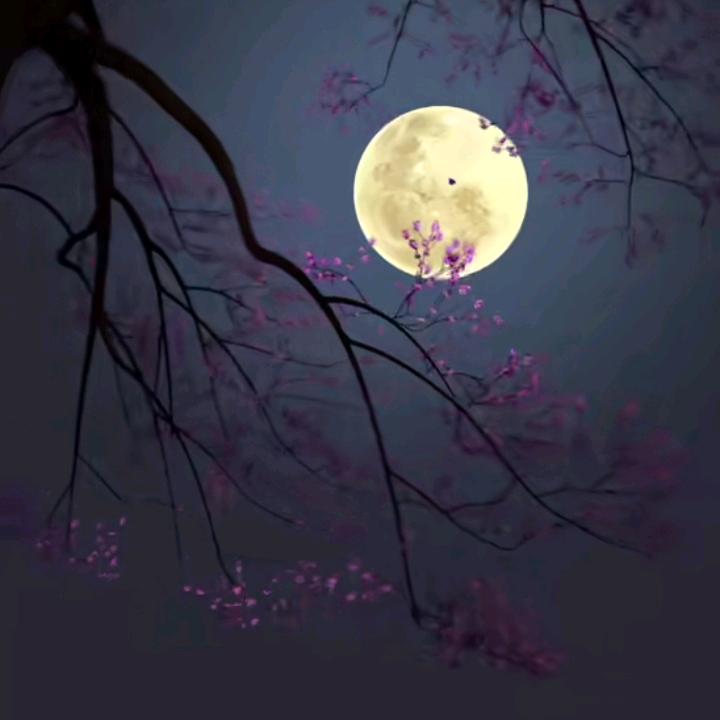 军