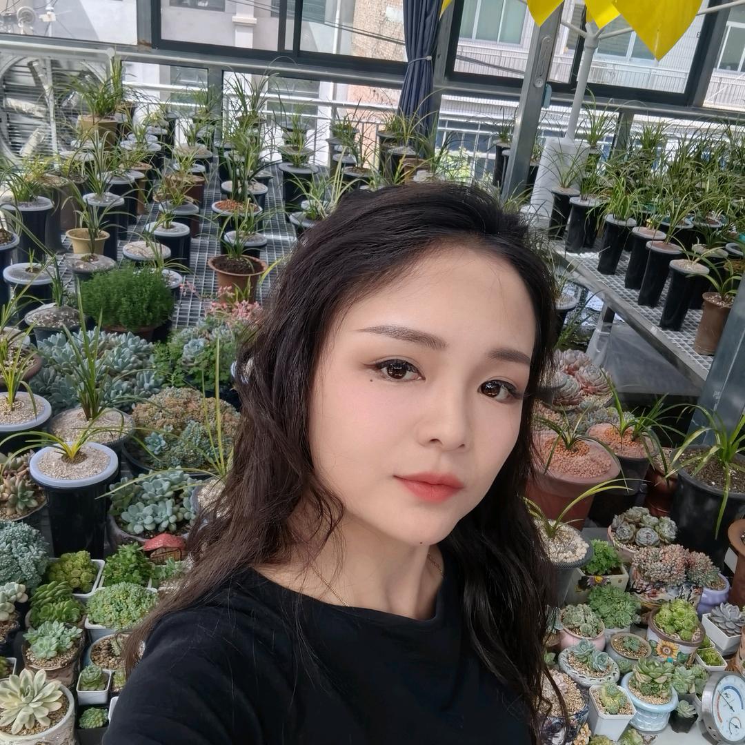 养兰花的戴姑娘