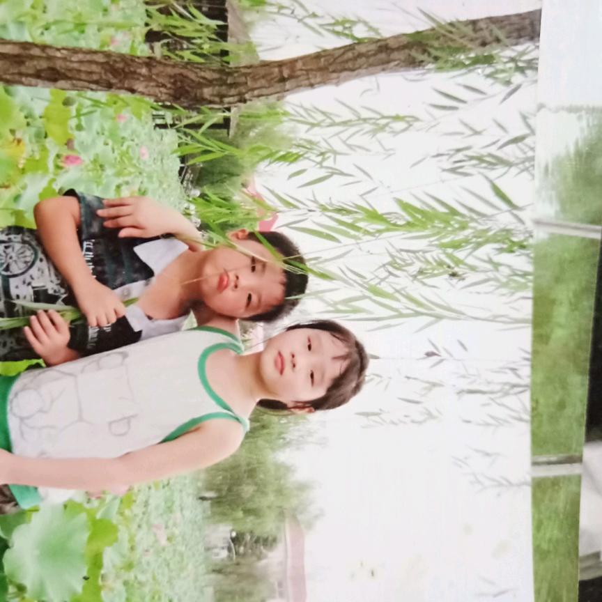 马家八妹