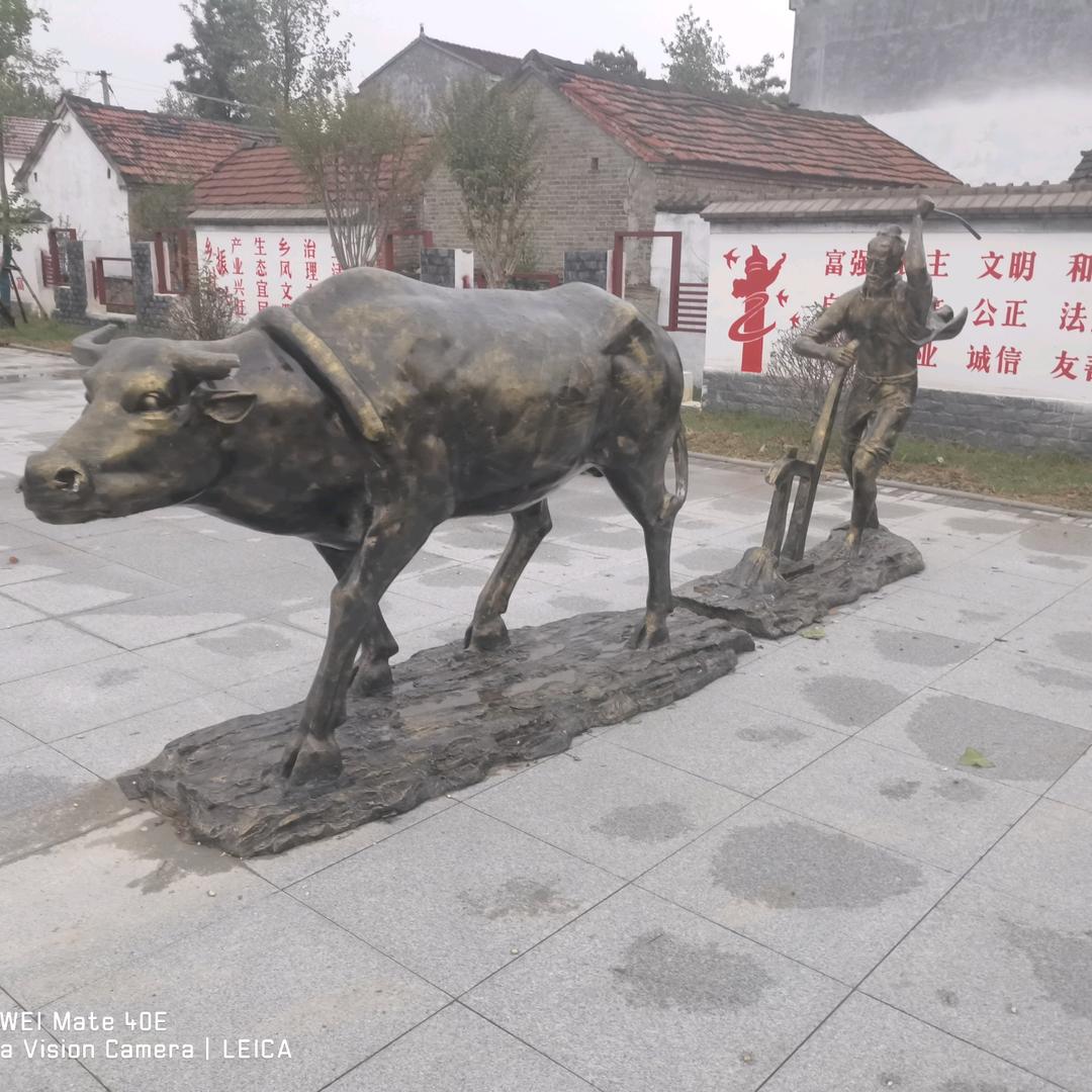 村支书（董伟）
