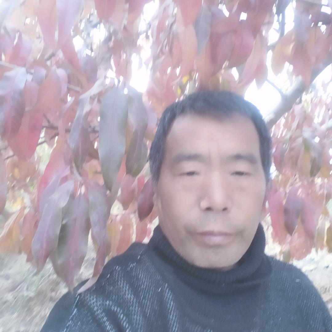 河南鹿邑县在新疆