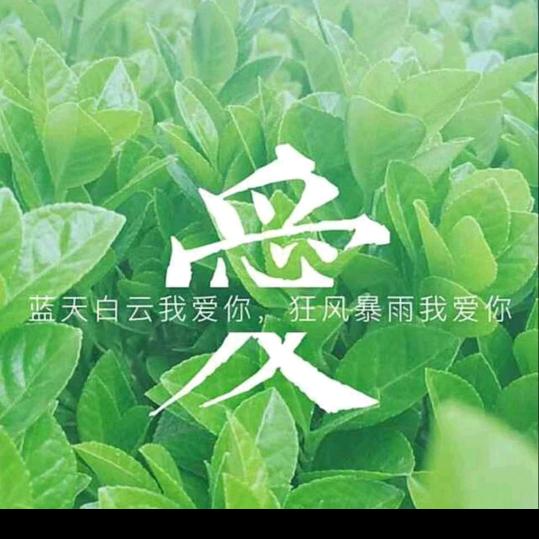 浩哥