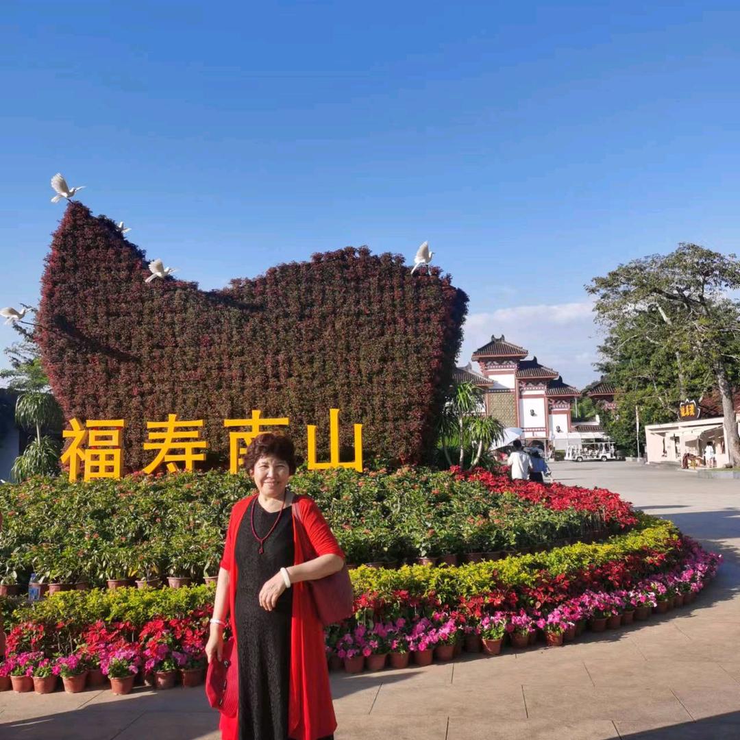 柴会计