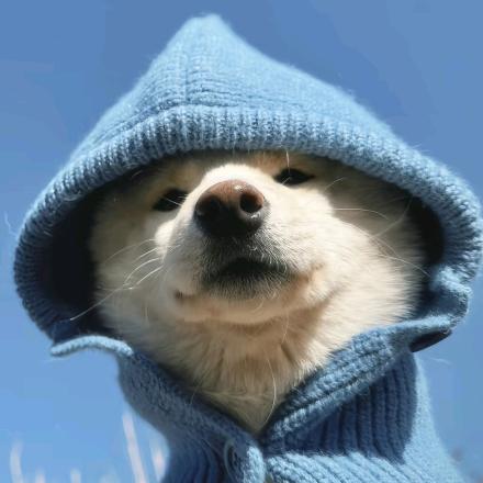 yeeeee