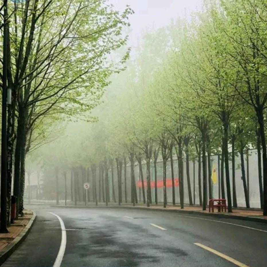 莫道桑榆晚🌸 为霞尚满天🌸