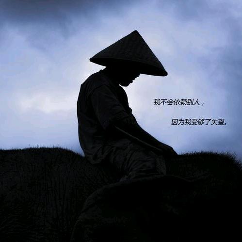 芜青⊙▽⊙男爵