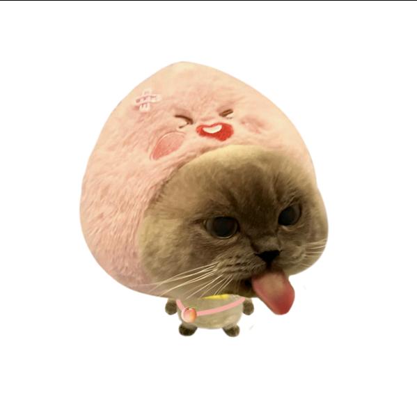 奇妙鲨鱼脆