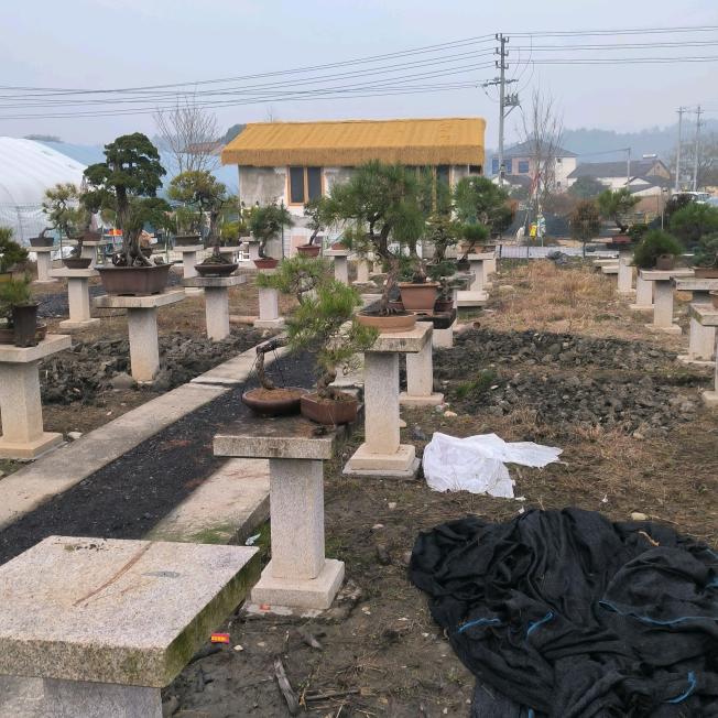 两耳不闻天下事