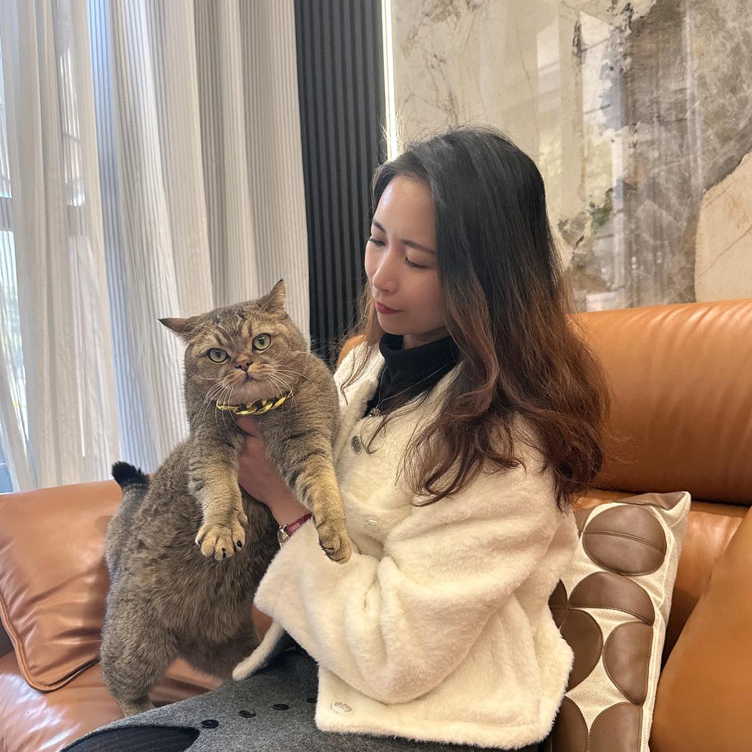 小哇哇的猫咪