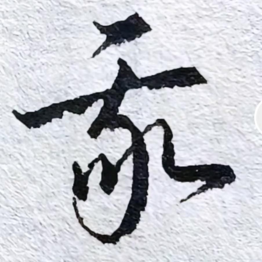 猫头鹰