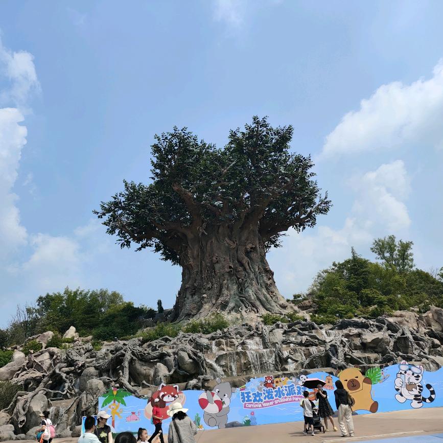 胖胖胖大海丫