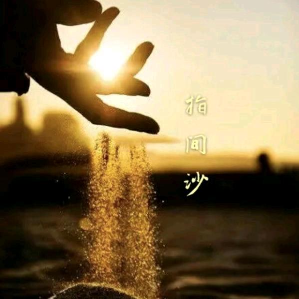 🌷🧚不浪漫罪名♡🎋💐