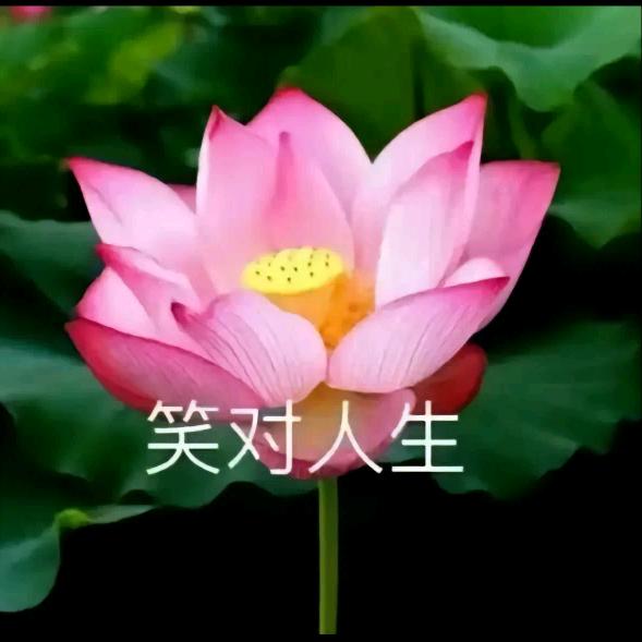 厨师老黄