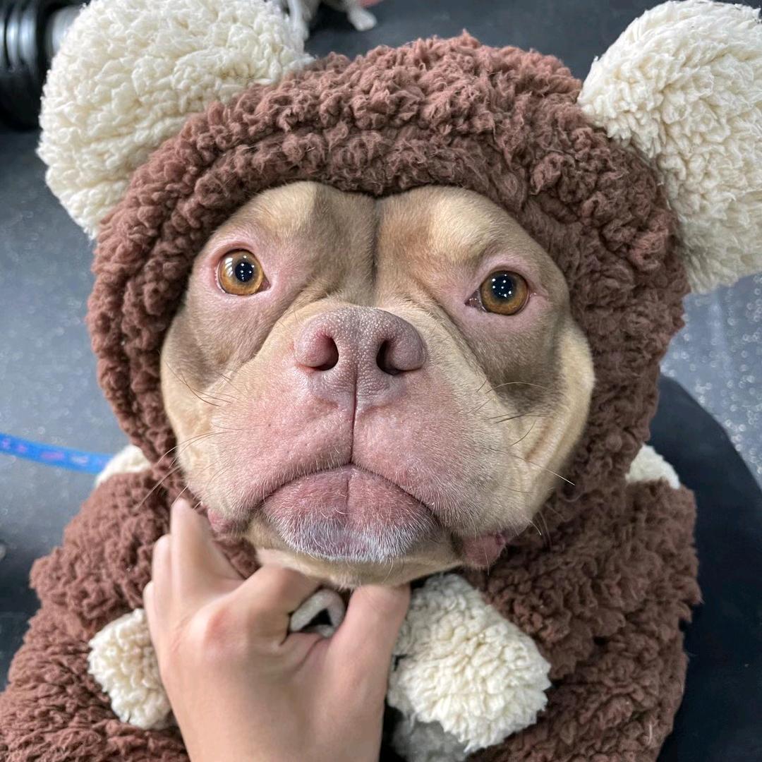 男人酒馆《小助理》