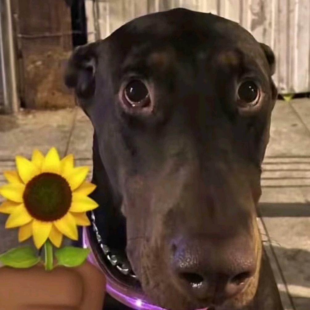 𝓝𝓾𝔂𝓸𝓪𝓱