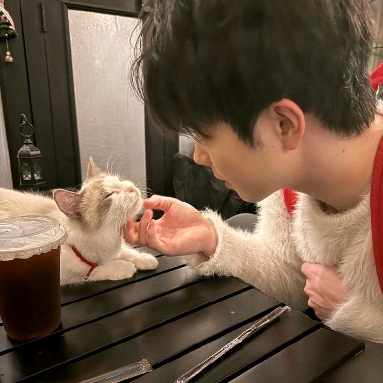 小鱼小鱼快快游