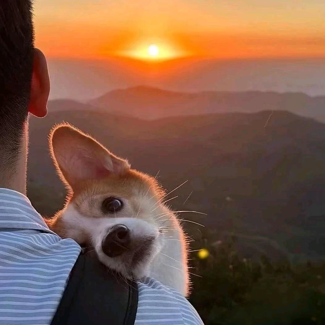 ·