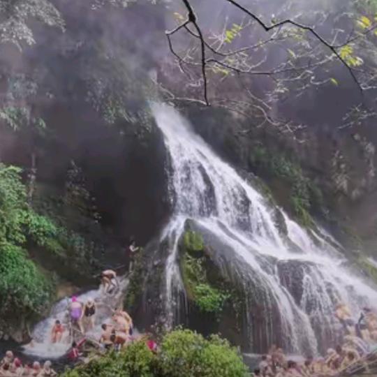 抖音号